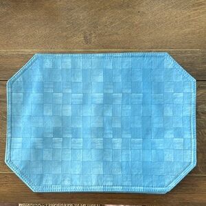 Easy to Clean Blue Placemats (7)